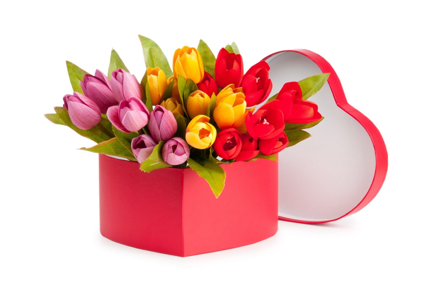 Flowers,And,Gift,Box,Isolated,On,White